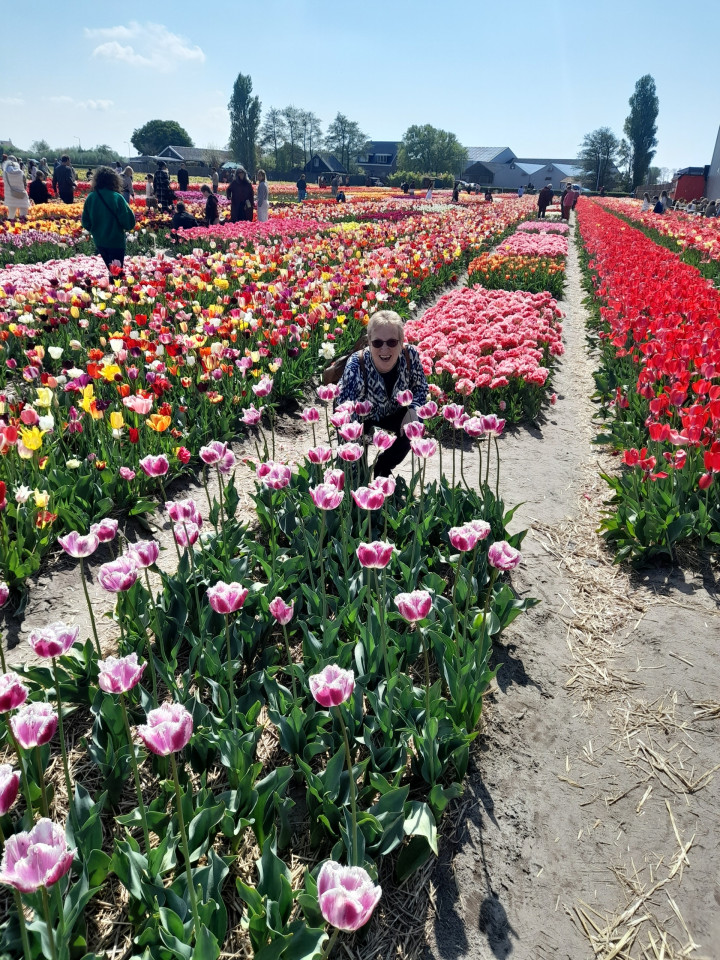 Tulpen